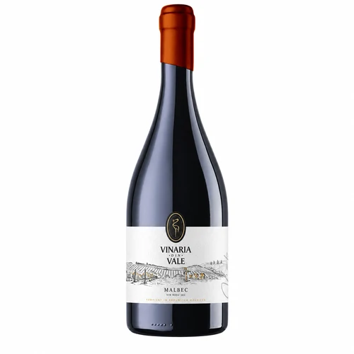 Vin rosu sec VINARIA DIN VALE VINTAGE Malbec 0,75L