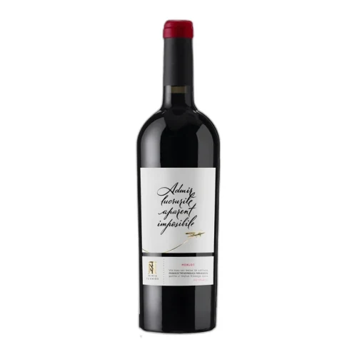 Красное сухое вино Minis Terrios Merlot 0.75L